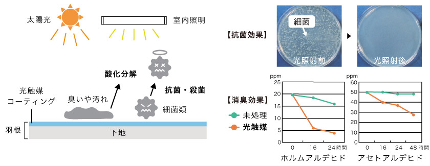 アルミブラインドの光触媒加工のしくみです。太陽光や室内照明の光の力を利用して、抗菌・殺菌・消臭します。